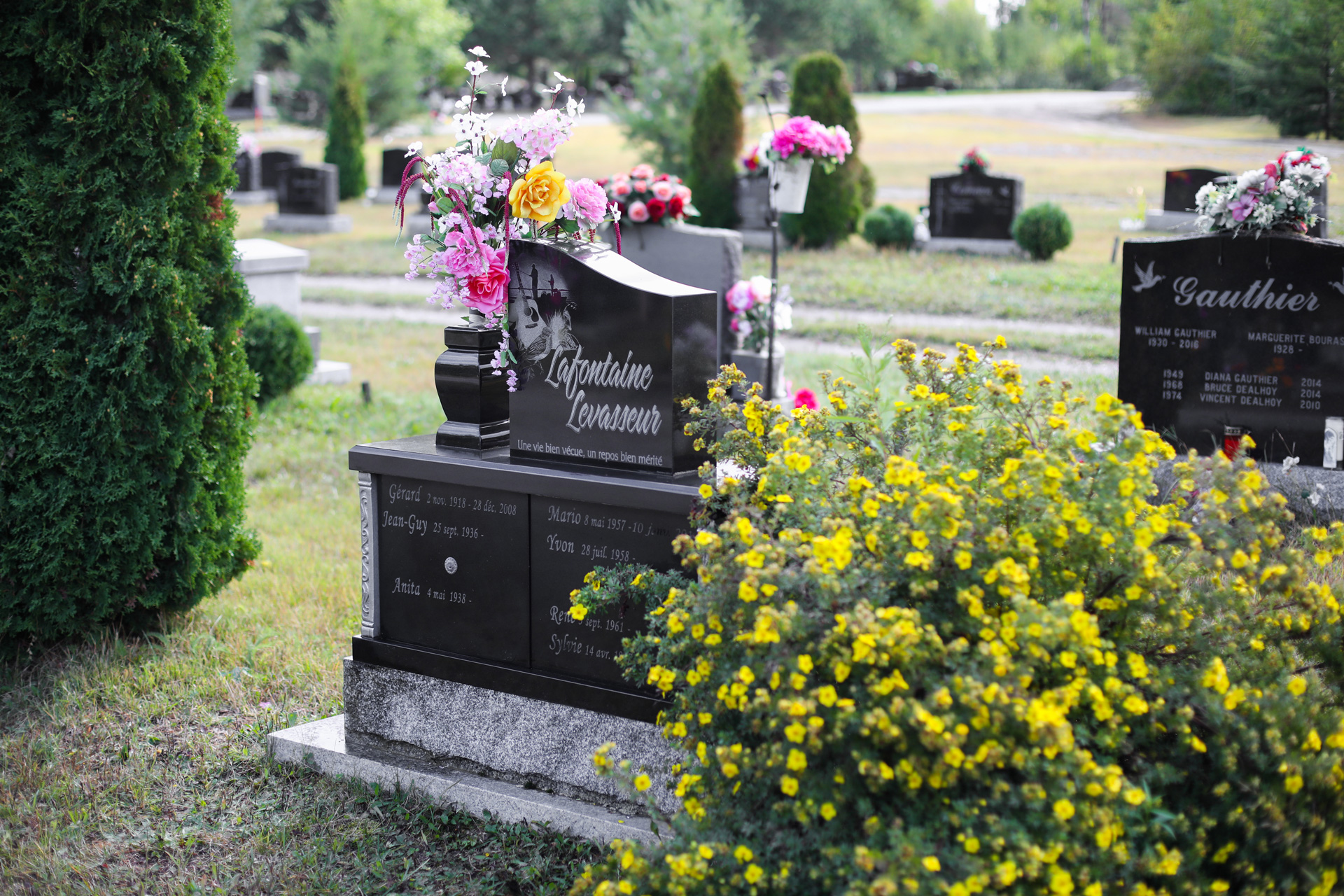 Cemetery flowers and grave